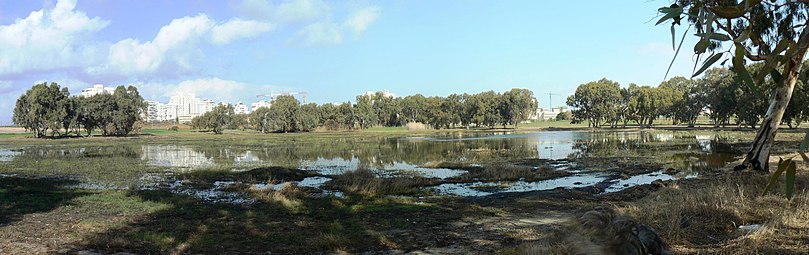 מבט על שלולית החורף בנתניה, ינואר 2009