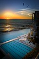 Bondi Icebergs Club di pagi hari