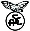 Il logo usato dal 2000 al 2005