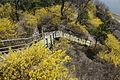 Seoul-Mount Eungbong in Spring-20