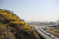 Seoul-Mount Eungbong in Spring-11