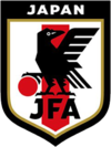 Shirt badge/Association crest