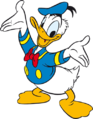 Pato-Donald seria um pato da raça Pequim-Americano.