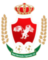 Escudo antigo