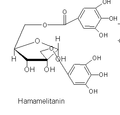 HAMAMELITANIN Diesterul hamamelozei cu acidul galic