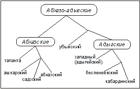 Схема происхождения абхазо-адыгских языков