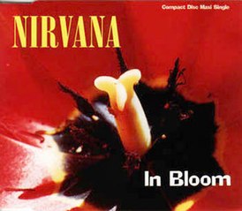 Обложка сингла Nirvana «In Bloom» (1992)