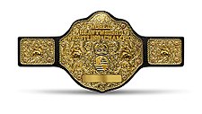 The WCW World Heavyweight Championship belt design (1991, 1994 – 2001)