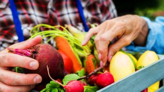 Can We Fix Our Broken Food System?