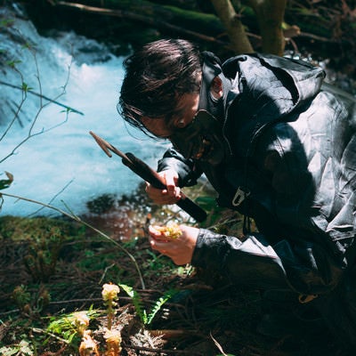 山菜を刈り取る山賊の写真