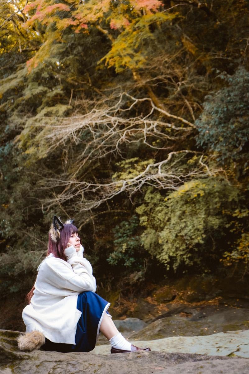 紅葉を見に来た狐耳女子の写真