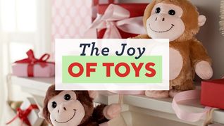 The Joy of Toys Clearance - 8/5