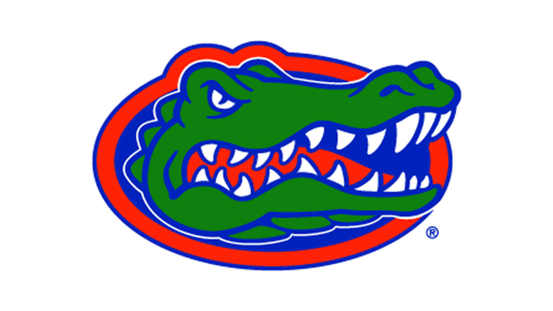 Gators Wallpaper