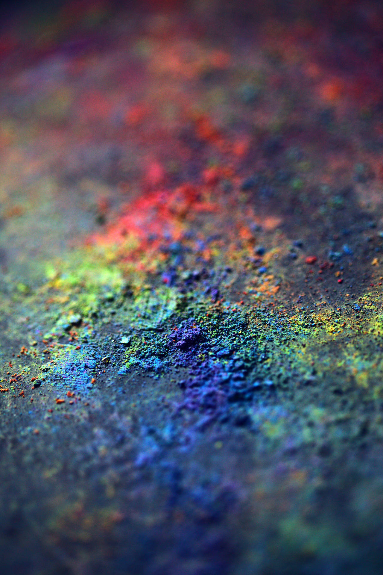 Holi Wallpaper