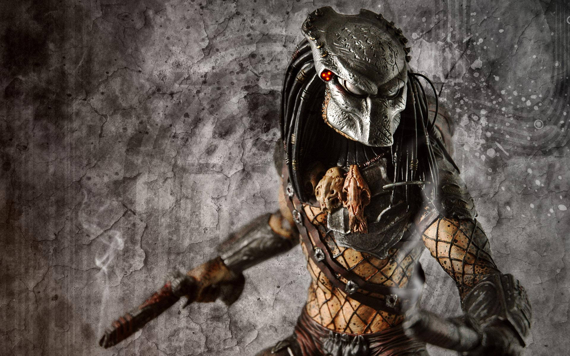 Predator Wallpaper