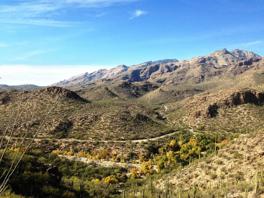 Tucson Bakgrunnsbildet