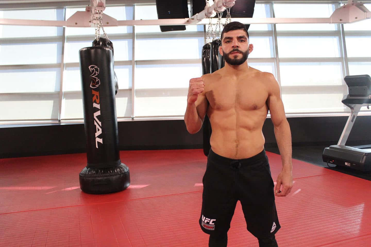 Amiralbazi Posando En El Gimnasio. Fondo de pantalla