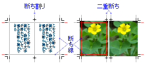 たちわり