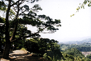 岡城跡の松籟