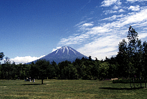 富士山麓・西湖畔の野鳥の森