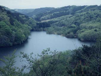 谷山水源の森