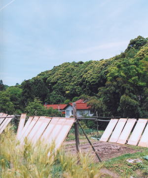 出雲民芸紙