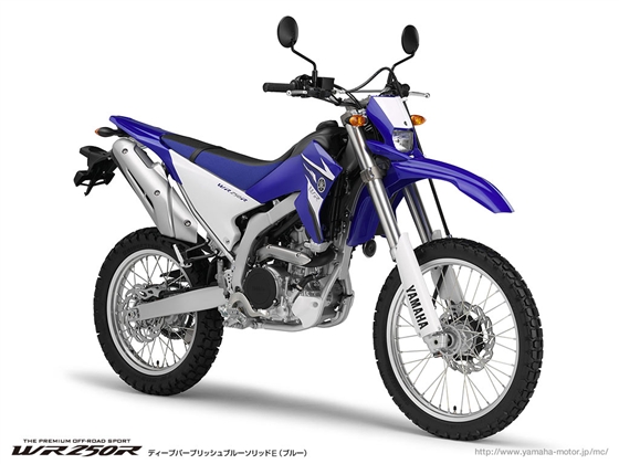 WR250R