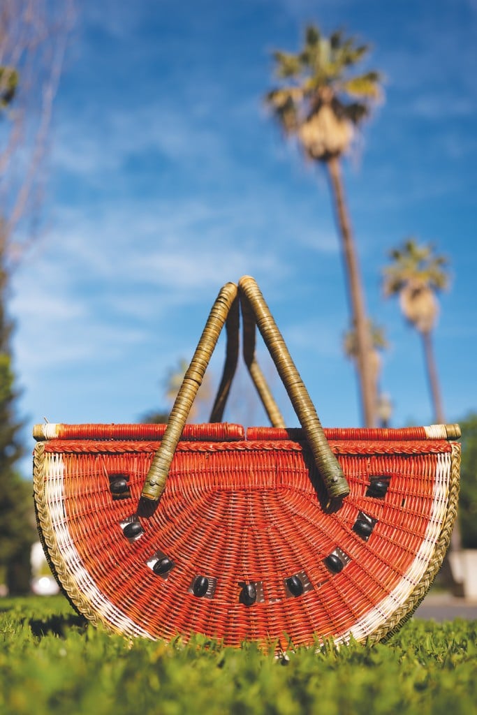 Picnic Basket In Capitol Park In Sacramento, California On April 9, 2021.