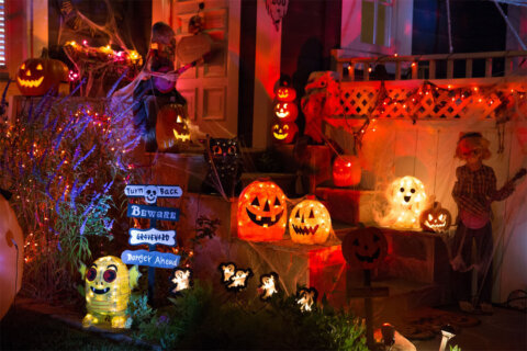 Things to do in the DC area: Halloween parties, Adams Morgan Fall Porchfest … and more!