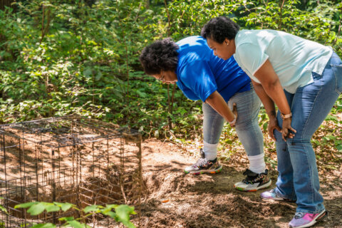 George Mason U. offers forensic science training at ‘body farm’ that could solve future cases