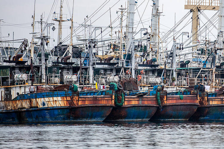 Harmful subsidies driving fisheries 'off a cliff'