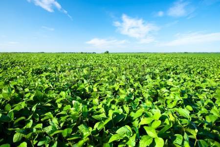 Farmers and Growers Information event