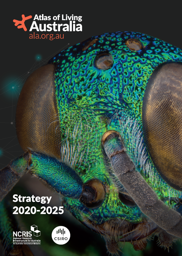 Image of the cover for the ALA Strategy 2020-2025