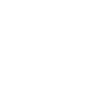 boat icon