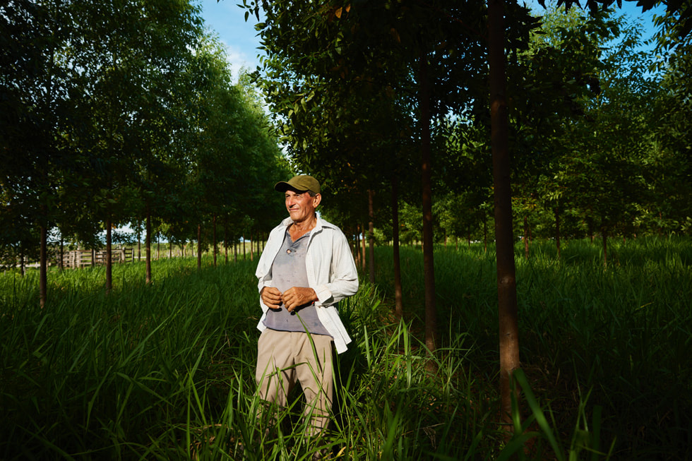Serafino Gonzalez 站在一排樹木之間的高草叢中。