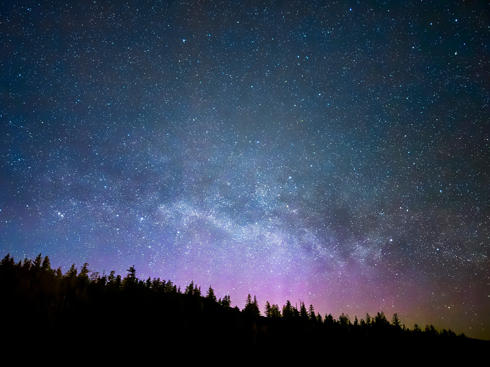 In this Photo Spotlight, an image shot on iPhone 15 Pro Max by Emmett Sparling shows the glittering, star-covered night sky rising over the pine trees of Sonora Island in British Columbia, Canada.