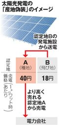 写真・図版