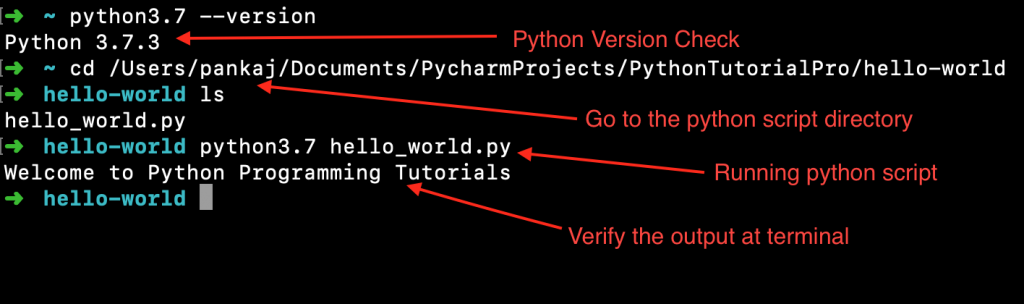 Running Python Script From Command Line