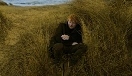 Ed Sheeran