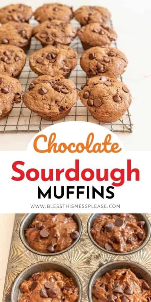 collage of muffins with title on top