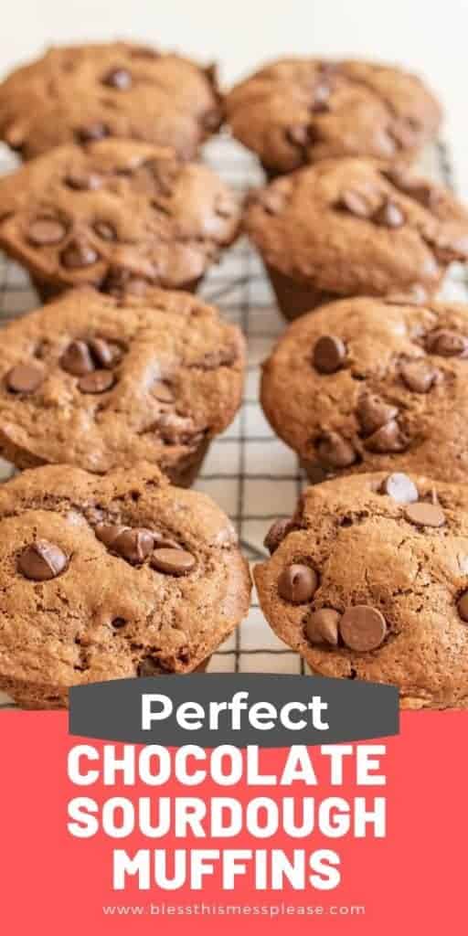 upclose picture of sourdough muffins with title on top