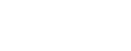 BSR logo