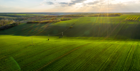 Agriculture : des données au cœur de l’actualité