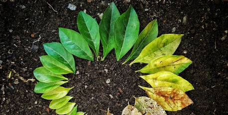 CNIS 7 mars : « Mesurer la transition écologique »