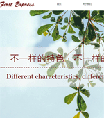 �����Ƶ���վ����