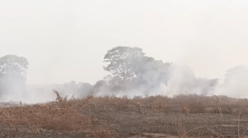 O Brasil, nos anos 40, teve estiagem no Rio Paraguai e enchentes em Porto alegre; ação dos humanos podem aumentar frequência dos fenômenos climáticos 