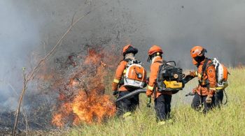 Pantanal tem pior desempenho para o período desde o inicio das medições em 1988, diz relatório do WWF-Brasil