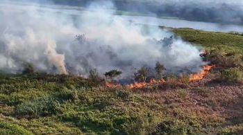 Biólogo do SOS Pantanal alerta que combate aos focos de incêndio no bioma já está 96% pior do que em 2020, ano recorde de queimadas