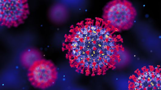 Novo estudo descobre anticorpo capaz de neutralizar todas as variantes do Sars-CoV-2, vírus causador da Covid-19