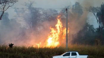 Presidente da Associação Brasileira do Agronegócio aponta combinação de fatores climáticos extremos e falta de preparo como causas das recentes queimadas